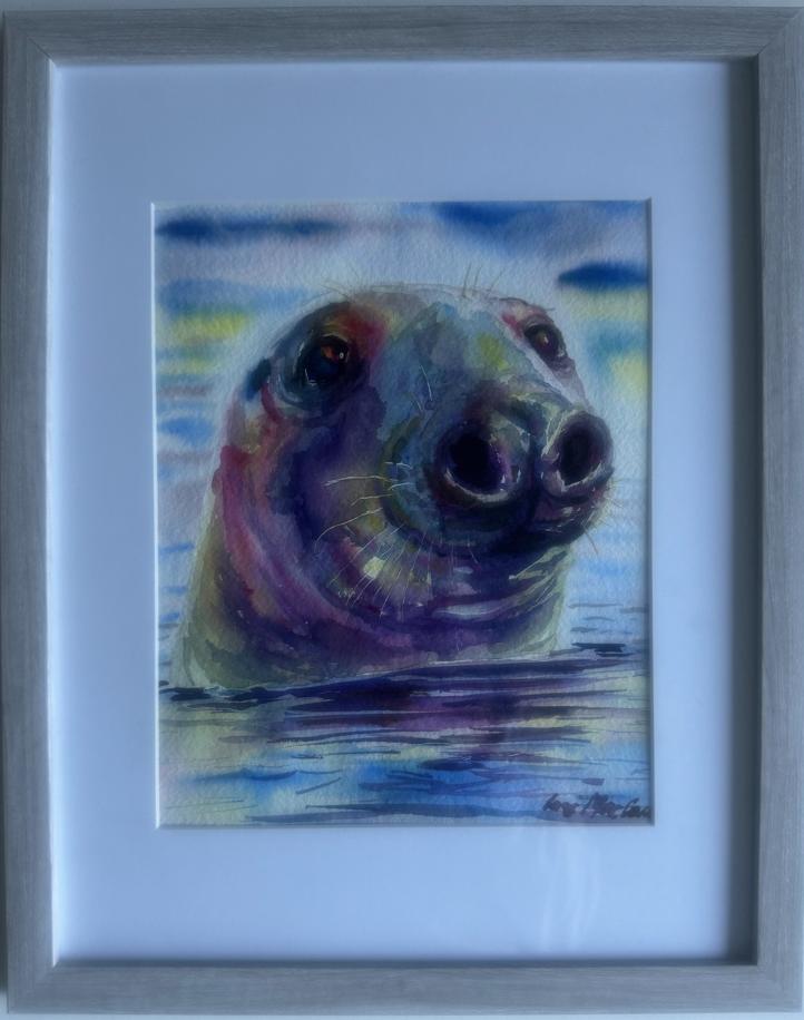 Grey Seal