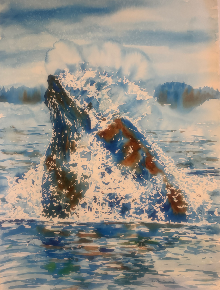 humpback whale feeding